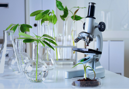 Life Sciences